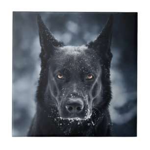 Black German Shepherd Ceramic Tile