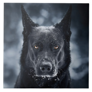 Black German Shepherd Ceramic Tile