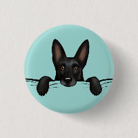 Black German Shepherd Dog Cute