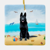 Black German Shepherd Dog on Beach