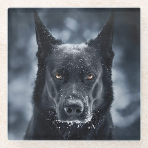 Black German Shepherd Glass Coaster