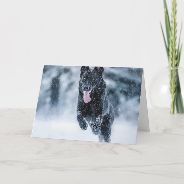 Black German Shepherd in snow Duvet Cover Card (Front)