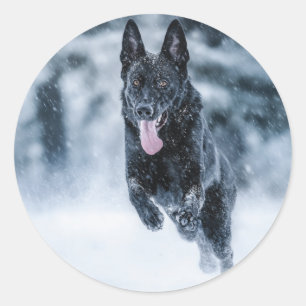 Black German Shepherd in snow Duvet Cover Classic Round Sticker