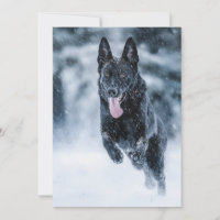 Black German Shepherd in snow Duvet Cover