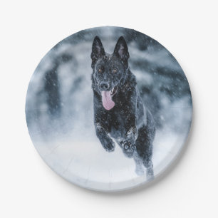 Black German Shepherd in snow Duvet Cover Paper Plate