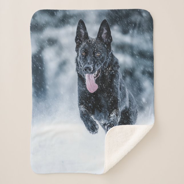Black German Shepherd in snow Duvet Cover Sherpa Blanket (Front)
