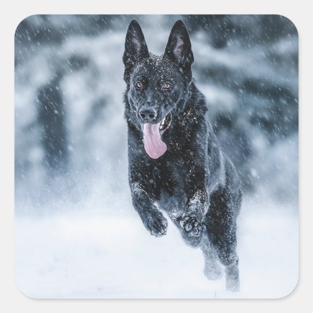 Black German Shepherd in snow Duvet Cover Square Sticker (Front)