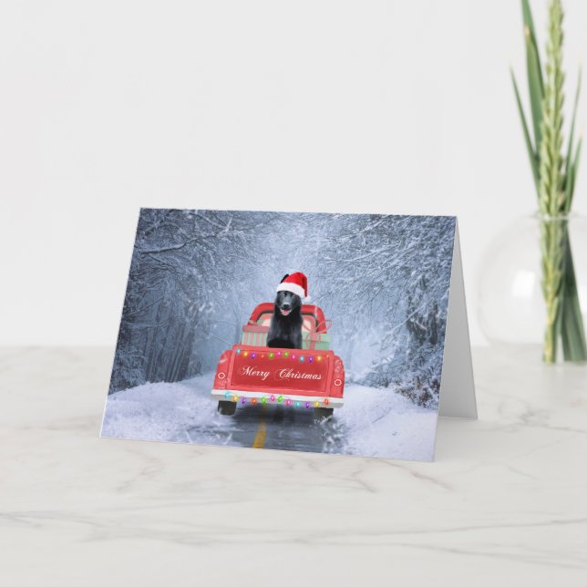 Black German Shepherd Snow sitting in Christmas Card (Front)
