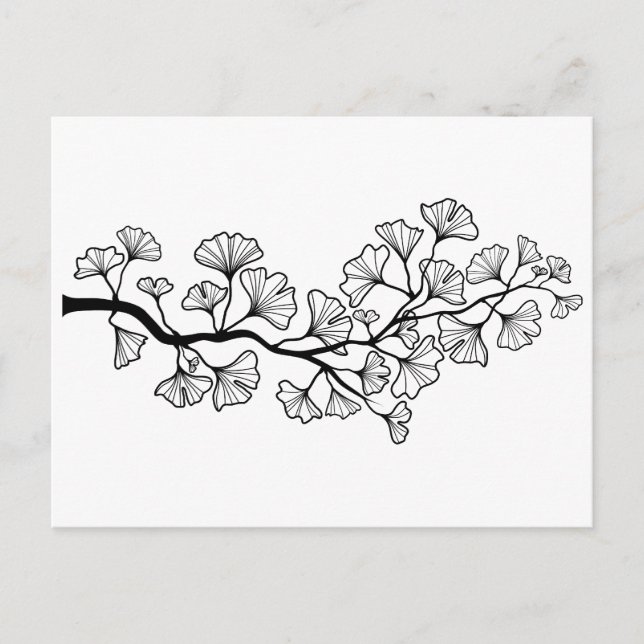 black ginkgo tree with leaves postcard (Front)