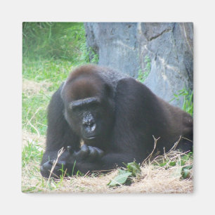 Black Gorilla Magnet