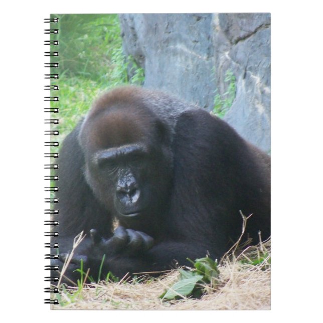 Black Gorilla Notebook (Front)