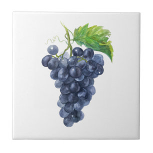 Black Grapes. Watercolor art  Tile