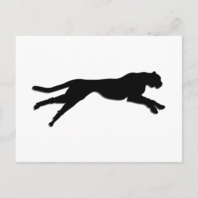 Black graphic art cheetah postcard (Front)