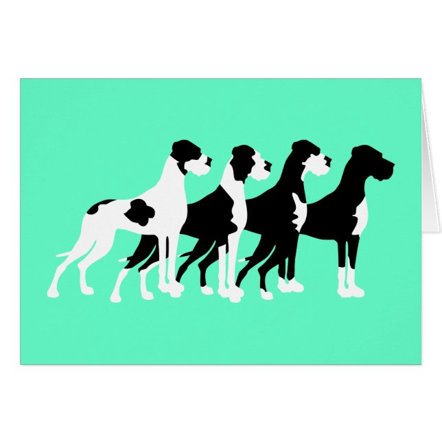 Black Great Danes (Front Horizontal)