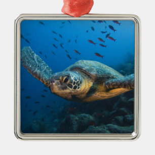 Black (Green) Turtle (Chelonia agassizi) Metal Ornament