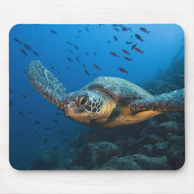 Black (Green) Turtle (Chelonia agassizi) Mouse Pad (Front)