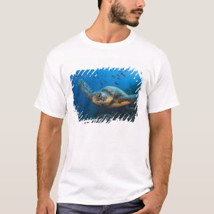 Black (Green) Turtle (Chelonia agassizi) T-Shirt