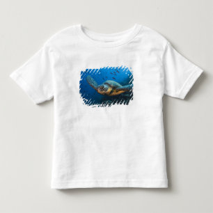 Black (Green) Turtle (Chelonia agassizi) Toddler T-Shirt