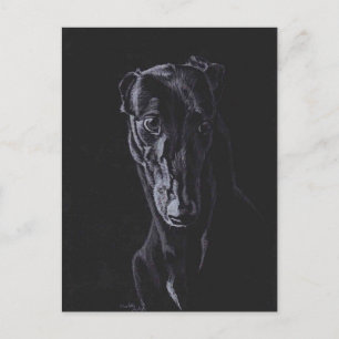 Black Greyhound Dog Art Postcard