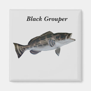 Black Grouper Fish Magnet