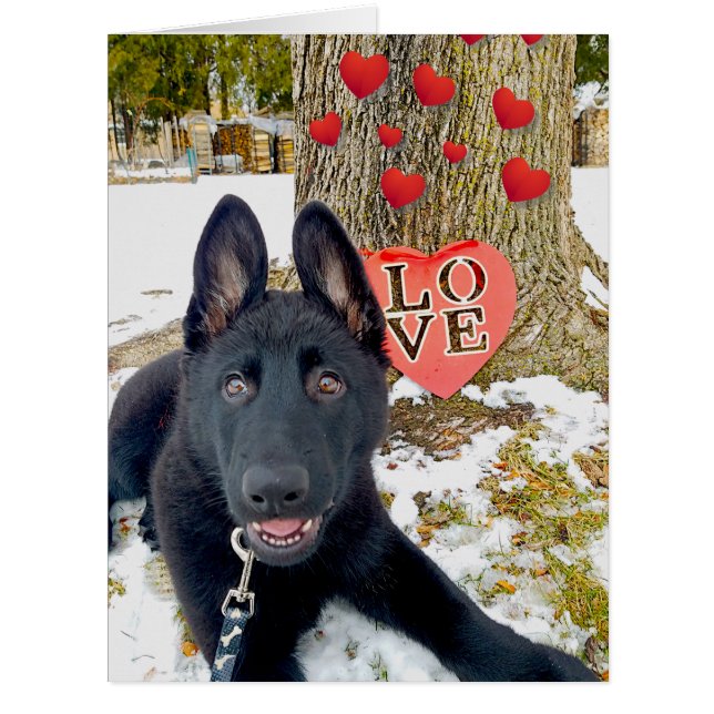 Black GSD Puppy with Hearts & Big Love Valentine (Front)