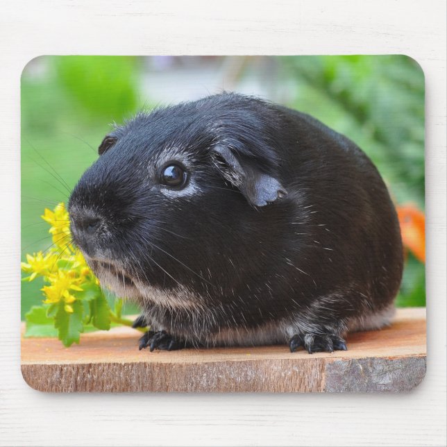 Black Guinea Pig Mouse Pad (Front)