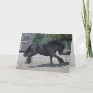 Black Gypsy Greeting Card