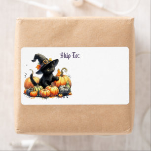Black Halloween Kitten With Pumpkins & Witch's Hat
