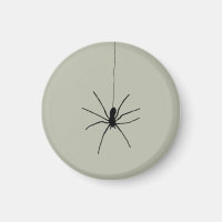 Black Hanging Spider on Ash Grey Colour
