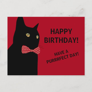 Black Happy Birthday Cat with a Red Bow Tie Postcard