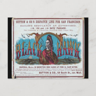 Black Hawk Clipper Sailing Postcard