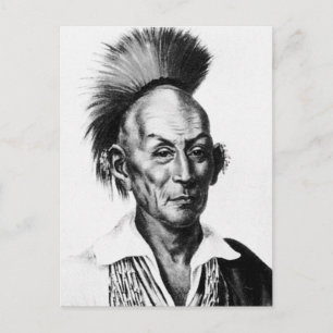 Black Hawk ~ Sac Sauk Indian Chief Postcard