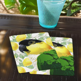 Black Headed Caique Parrot Sweet Yellow Green Bird Playing Cards
