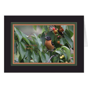 Black-headed grosbeak5905