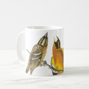 Black-headed Grosbeak by Audubon Coffee Mug