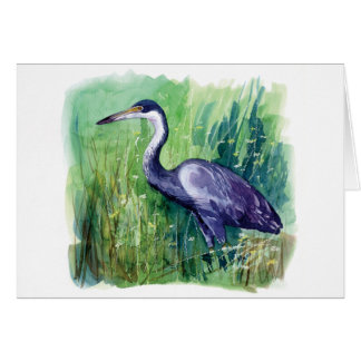 black headed heron