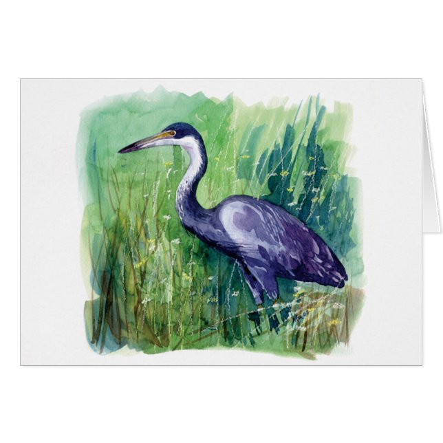 black headed heron (Front Horizontal)