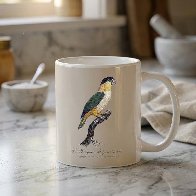 Black-Headed Male Parrot, Pionites Melanocephalus Coffee Mug (Black-Headed Male Parrot, Pionites Melanocephalus. Coffee Mug)