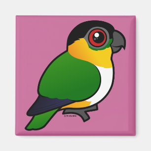 Black-headed Parrot Magnet