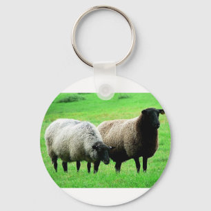 black-headed-sheep key ring