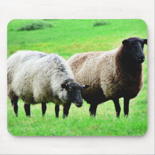 Black Headed Sheep Mouse Pad