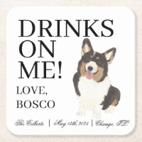 Black Headed Tricolor Corgi Dog Wedding
