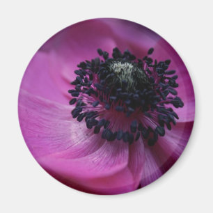 Black heart - Anemone Magnet