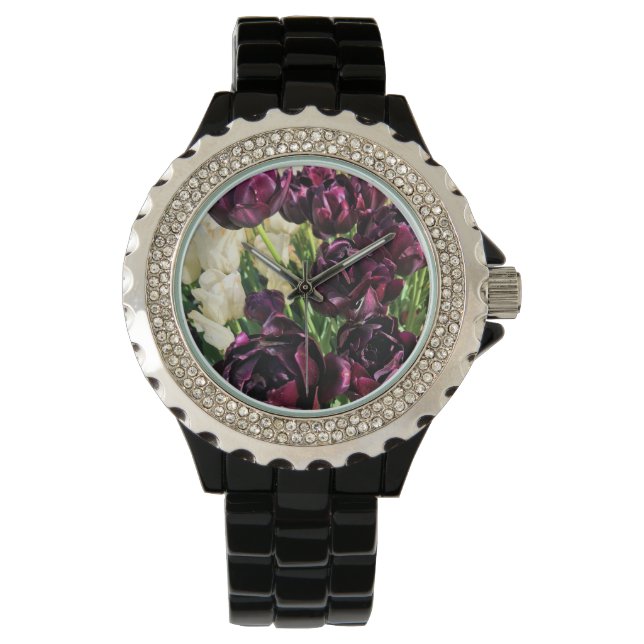 Black Hero Tulips, Oregon Watch (Front)