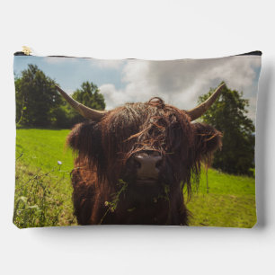 Black highland cow grazing green field sun light accessory pouch