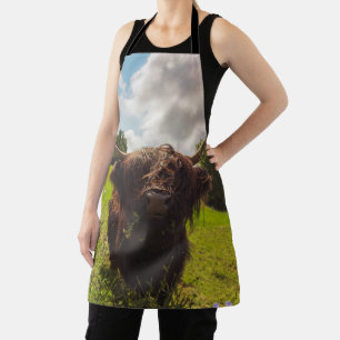 Black highland cow grazing green field sun light apron