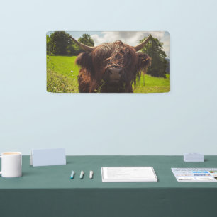 Black highland cow grazing green field sun light banner