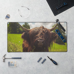 Black highland cow grazing green field sun light desk mat