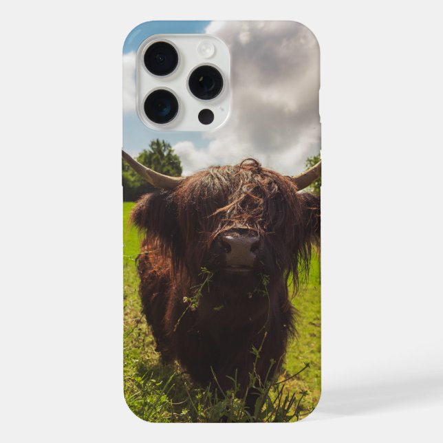 Black highland cow grazing green field sun light iPhone case (Back)