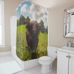 Black highland cow grazing green field sun light shower curtain